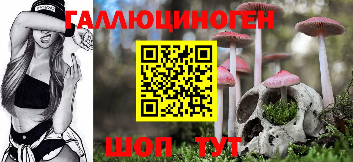 Трёхгорный  Псилоцибиновые грибы прущие грибы  Псилоцибиновые грибы GOLDEN TEACHER  Вход с VPN 